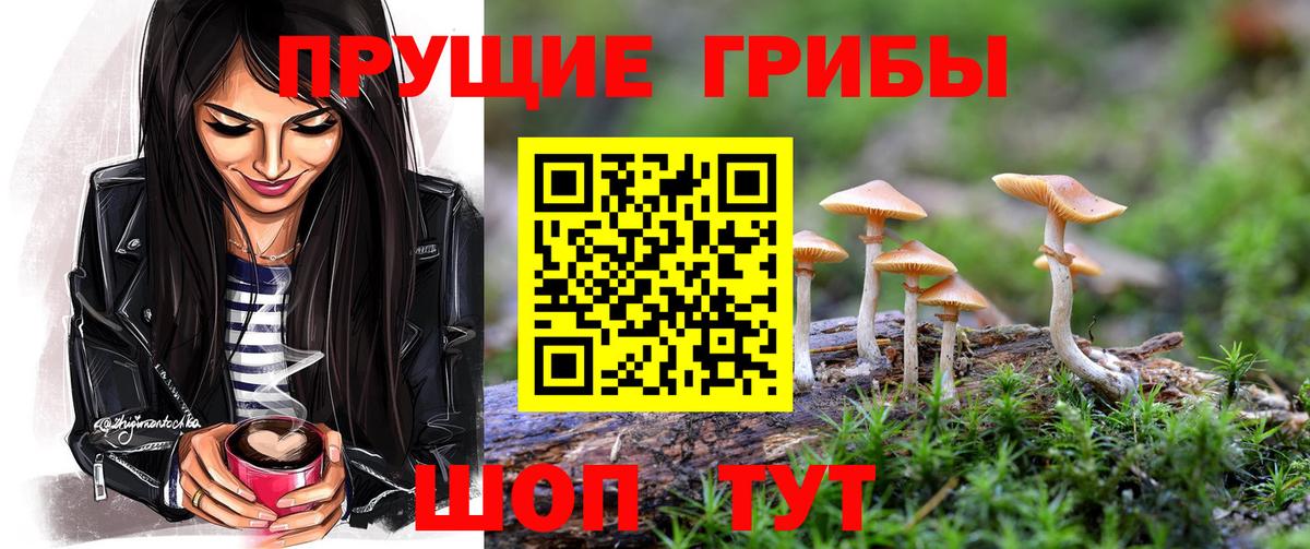 Псилоцибиновые грибы мицелий Коммунар