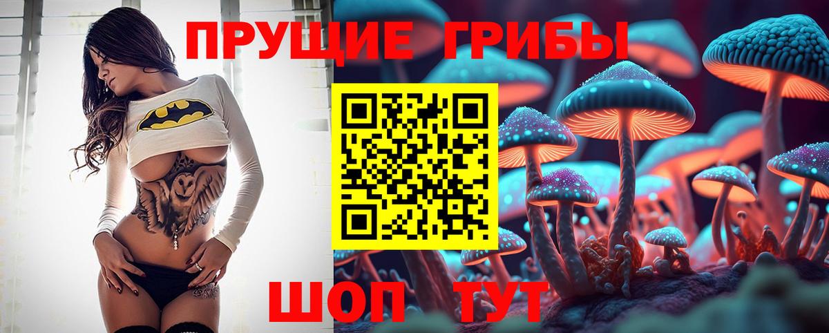Галлюциногенные грибы GOLDEN TEACHER  Вход с VPN  Коммунар 