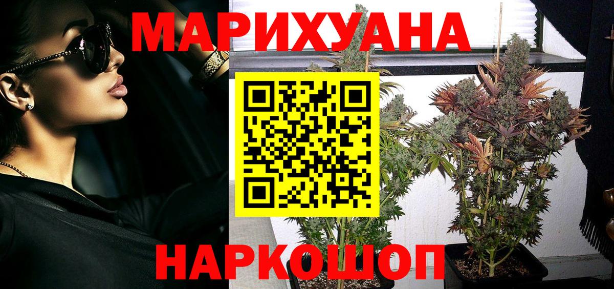 Бошки Шишки планчик Коммунар